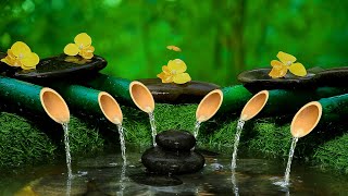 Relaxing Spa Music with Water Sounds  Relaxing Music Therapy for Stress Relief and Insomnia [upl. by Auhesoj966]