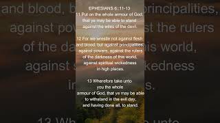 EPHESIANS 61113 DAILY BIBLE VERSE [upl. by Noraa330]