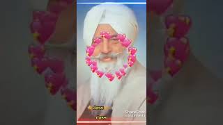 radha Soami ji [upl. by Ainocal]