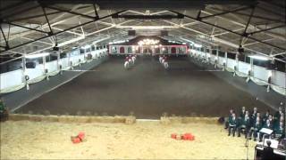 Lipizzaners Christmas Quadrille [upl. by Onitsirc]