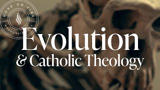 Evolution and Catholic Theology [upl. by Luana]