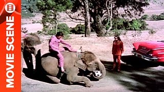 Tanuja Caught Rajesh Khanna With His Elephant  Haathi Mere Saathi [upl. by Ideih]