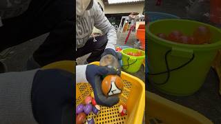 Marble run race ☆ Handmade wooden slope jump  orange hole ④ [upl. by Atalayah]