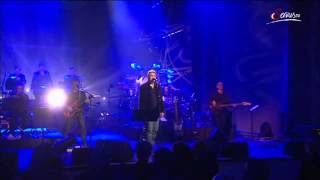 Rainhard Fendrich  Die Freiheit LIVE [upl. by Ecart985]