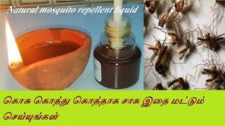 கொசு கொத்து கொத்தாக சாக இதை மட்டும்Mosquito Killer Refill homemade Liquid without side effect [upl. by Eivad]