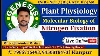 Nod Genes  Nitrogen Fixation  Plant Physiology  CSIR NETJRF  GATE  Life science  ICMR IITJAM [upl. by Hayn]