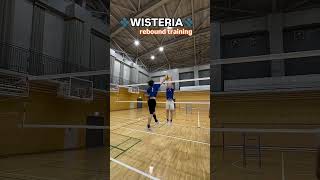 WISTERIA REBOUND TRAINING WISTERIA WORLD VOLLEYBALL [upl. by Dodson]