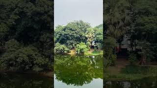 Dhanmondi Lake nature naturelake travel lakebeauty love lake explore automobile naturallake [upl. by Maxia419]