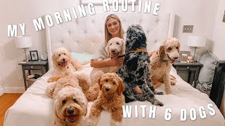 MY MORNING ROUTINE WITH 6 DOGS  4 Goldendoodles and 2 Poodles [upl. by Josy725]