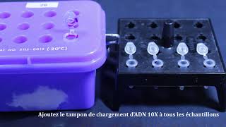 BCH2733 Lab5 Expériences 3 et 4 Digestion plasmidique et électrophorèse sur gel dagarose [upl. by Ralat610]