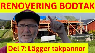 Renovering av bodtak I 7e delen har jag kommit fram till den roliga läggningen av takpannor [upl. by Sokul]