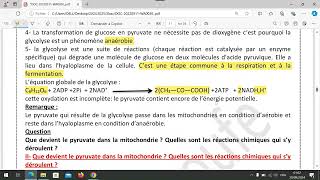 unité 1  chapitre 1 la glycolyse et le devenir de lacide pyruvique dans la mitochondrie [upl. by Petigny]