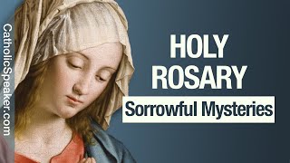 HOLY ROSARY  Sorrowful Mysteries Tuesday amp Friday Catholic [upl. by Nylrats988]