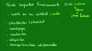 Tecido Conjuntivo Propriamente Dito  Aula 1 [upl. by Enahs]