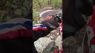 Going down dirtbike sherco ktm hardenduro gasgas husqvarna shorts beta [upl. by Docilu754]