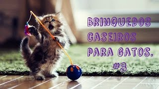 Brinquedos Caseiros Para Gatos [upl. by Yung]