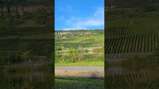 Grevenmacher🚗cardriving nature grapeyard wine luxembourg germany schengen fun 2024 tourism [upl. by Llet]