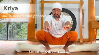 Kriya para las suprarrenales y los riñones  Kundalini yoga con Tej Partap Singh [upl. by Pamela]