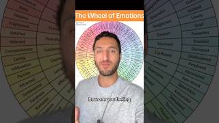 The wheel of emotions explainedwheelofemotions emotionstips getunstuck nonfictionbook books [upl. by Jennilee]