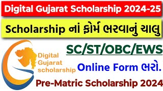 Digital Gujarat Scholarship 202425  Online Form Date 2024  PreMatric Scholarship SCSTOBCEWS [upl. by Skricki]