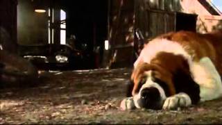 Cujo trailer [upl. by Erlewine]