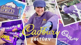 CADBURY CHRONICLES Inside the Chocolate Kingdom 🍫Chocolate  filled adventure like never before [upl. by Eetnom]