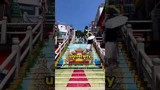 Most Educated Country In The World 🤔🌍 shorts viral facts [upl. by Aniarrol]