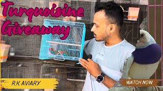 Giveaway of Exotic parakeets on 1k subscribers 😍🤩  Tourquisine parakeet giveaway [upl. by Plusch69]