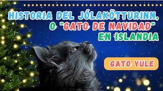 LA HISTORIA DEL GATO YULE JÓLAKÖTTURINN O quotGATO DE NAVIDADquot EN ISLANDIA [upl. by Keller146]