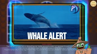 How To Avoid the Whale Trap Spot Big Moves in Crypto  MemeFi [upl. by Nauqet]