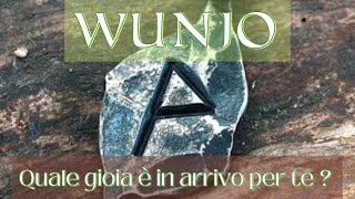 Wunjo 💚 Quale gioia è in arrivo per te [upl. by Yenahs155]