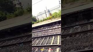 love newsong song bollywood viralvideo music train travel trendingshorts duet foryou [upl. by Ymmat]