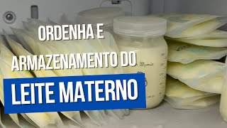 Ordenha e armazenamento do leite materno [upl. by Joselow]