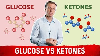 Testing Glucose or Ketones Which is More Important [upl. by Shih817]