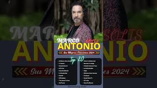 El Milagrito  Marco Antonio Solís 2024 shorts marcoantoniosolís baladasromanticas anagabriel [upl. by Aplihs]