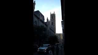 Cathedral Bells chime at Notre Dame in Montreal [upl. by Hcib889]