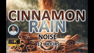 Soothing Cinnamon Rain Noise  12 Hours BLACK SCREEN  Study Sleep Tinnitus Relief amp Focus [upl. by Cargian]