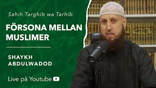 Att försona mellan muslimer  Sh Abdulwadod [upl. by Kcirdla]