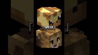 Giraffe vs Lion shorts minecraft hypixel skyblock [upl. by Noraha615]