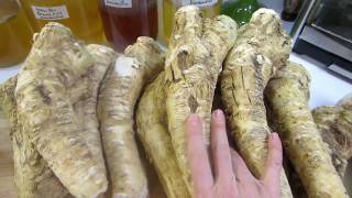 Fermented Horseradish Four Recipes [upl. by Perni682]