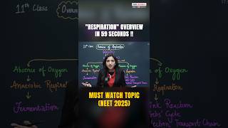 🫁 RESPIRATION OVERVIEW IN 59 SECONDS neet2025 botany medical vmcmedical [upl. by Aniteb]