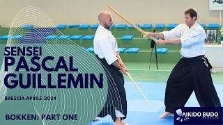 Pascal Guillemin bokken part one in Brescia [upl. by Ayotak743]