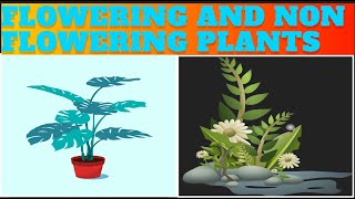 Flowering and Non Flowering Plants class 5  Biology Sarthak Dhakal smartsarthak3376 [upl. by Adamik]