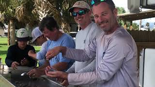 Scalloping in Steinhatchee [upl. by Orpha]