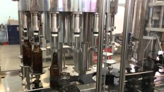 Linea embotelladora para cerveza artesanal  Canellitech [upl. by Irahc]