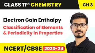 Electron Gain Enthalpy  Classification of Elements  Class 11 Chemistry Chapter 3  CBSE [upl. by Ahtelat]