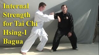 Internal Strength for HsingI Tai Chi Bagua Xingyi [upl. by Jeddy]