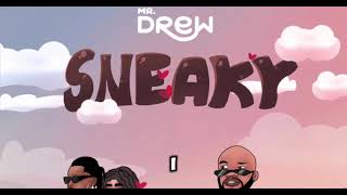 Sneaky  mr drew Official lyrics video [upl. by Swayne]