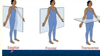 anatomical position and directional terms [upl. by Neelram]