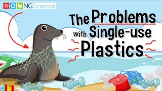 The Problems with Singleuse Plastics [upl. by Eelnodnarb577]